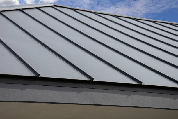 Best Roof Moss and Algae Removal  in Brackettville, TX